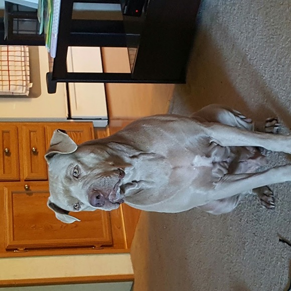 Meet your Posher, John - Picture 1 of 1